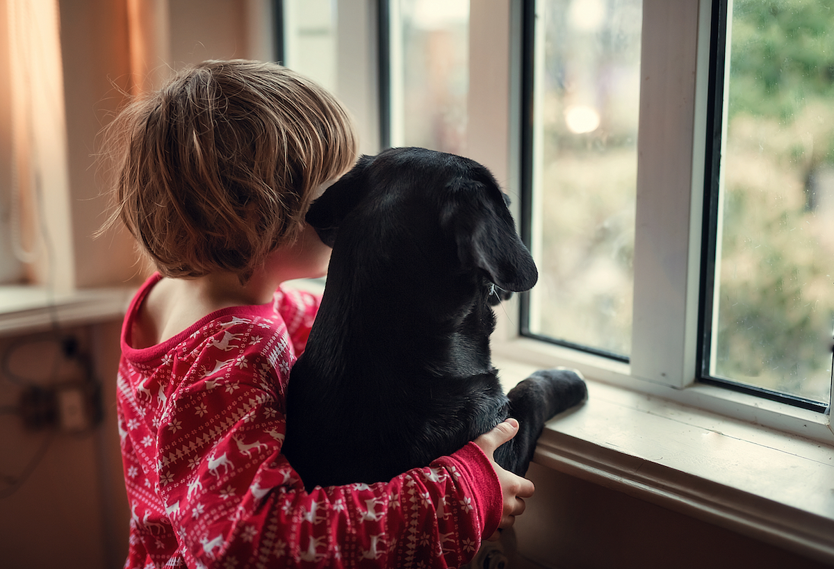 boy&dog